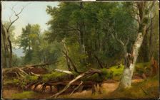 Forest Scene in the Catskills, between 1855 and 1860. Creator: Asher Brown Durand