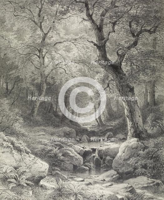 Forest Scene, second half 19th century. Creator: Paul Weber.