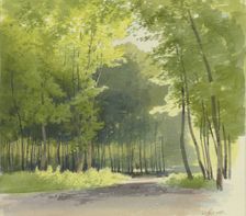 Forest section, 1855. Creator: Carl Theodor Reiffenstein