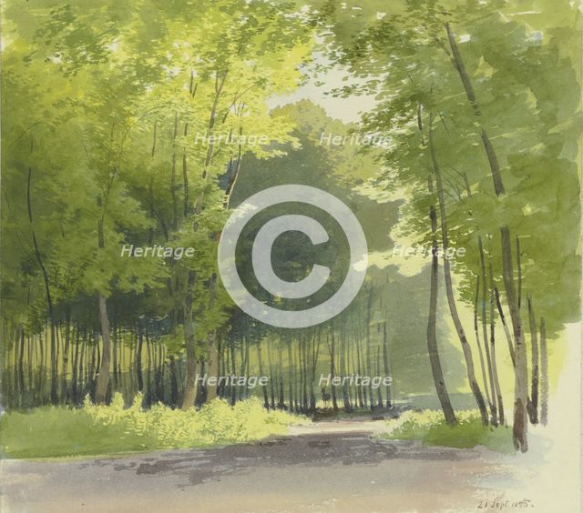 Forest section, 1855. Creator: Carl Theodor Reiffenstein.