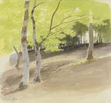 Forest section, 1856. Creator: Carl Theodor Reiffenstein