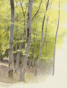 Forest section, 1871. Creator: Carl Theodor Reiffenstein