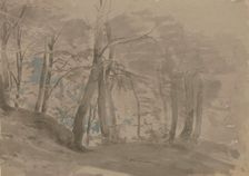 Forest section, c1840-1890. Creator: Carl Theodor Reiffenstein