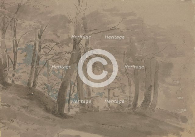 Forest section, c1840-1890. Creator: Carl Theodor Reiffenstein.