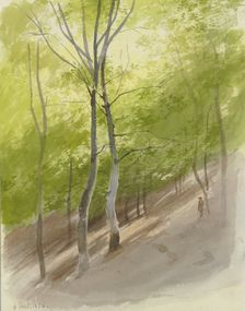 Forest slope, 1856. Creator: Carl Theodor Reiffenstein