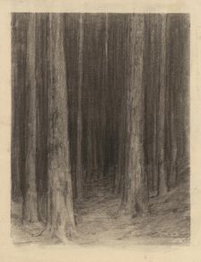 Forest twilight, around 1930. Creator: Ludovit Cordak