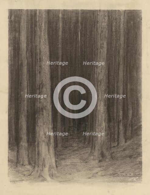 Forest twilight, around 1930. Creator: Ludovit Cordak.