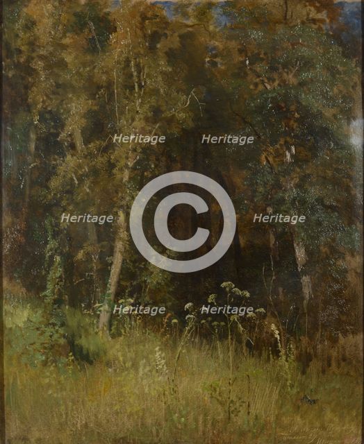 Forest Thicket, 1874.