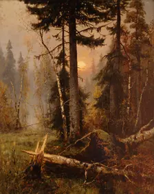 Forest Thicket