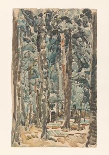 Forest view, 1873-1932. Creator: Willem Steenhoff