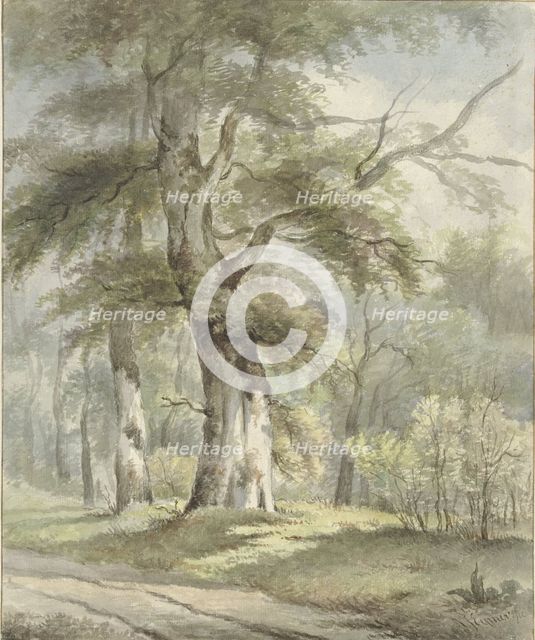 Forest view, 1813-1863. Creator: Arnoldus Johannes Eymer.