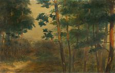 Forest view, 1902-1908. Creator: Elemír Halász-Hradil