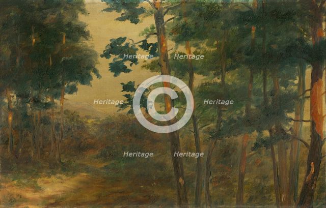 Forest view, 1902-1908. Creator: Elemír Halász-Hradil.
