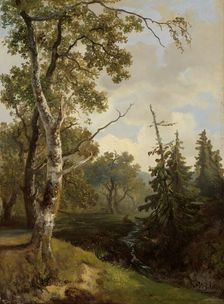 Forest view at Wolfheze, 1860-1890. Creator: Johannes Warnardus Bilders
