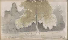 Forest with a field with a tree in the foreground, 1871. Creator: Johannes Tavenraat