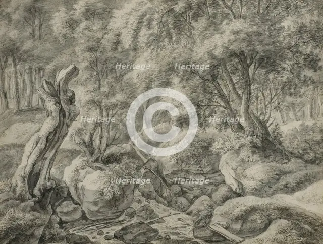 Forest with a stream running between large boulders. Creator: Anthonie Waterloo.