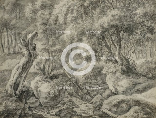 Forest with a stream running between large boulders. Creator: Anthonie Waterloo.