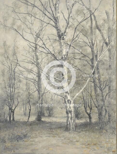 Forest with birch trees, 1875-1910. Creator: Alphonse Stengelin.