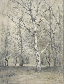 Forest with birch trees, 1875-1910. Creator: Alphonse Stengelin