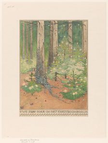 Forest with decorated and illuminated Christmas trees, 1898. Creator: Willem Wenckebach