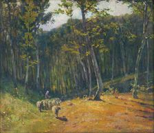 Forest with sheep, 1900-1910. Creator: Ludovit Cordak