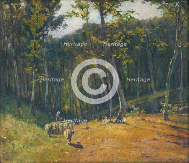 Forest with sheep, 1900-1910. Creator: Ludovit Cordak.