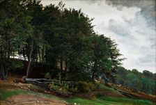 Forested hills, 1864. Creator: Peter Christian Thamsen Skovgaard