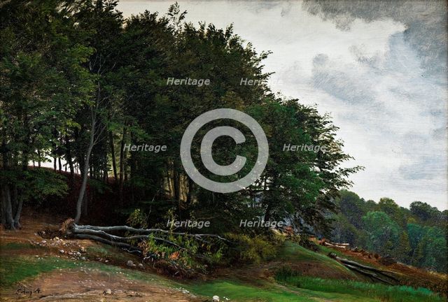 Forested hills, 1864. Creator: Peter Christian Thamsen Skovgaard.