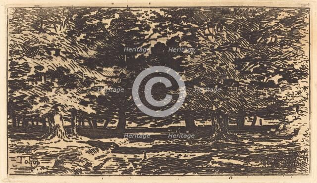 Forêt. Creator: Felix Hilaire Buhot.