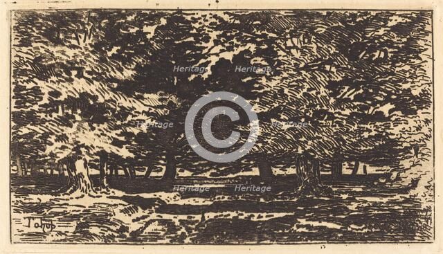 Forêt. Creator: Felix Hilaire Buhot.