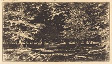 Forêt. Creator: Felix Hilaire Buhot