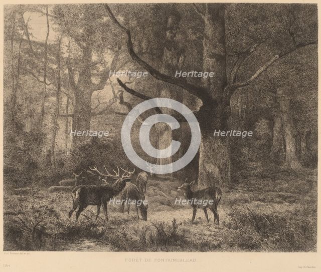 Forêt de Fontainebleau. Creator: Karl Bodmer.