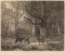 Forêt de Fontainebleau. Creator: Karl Bodmer
