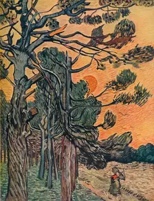 Foret De Sapins Au Declin Du Jour 1889. Artist: Vincent van Gogh