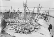 Forfeited guns, 1914. Creator: Bain News Service