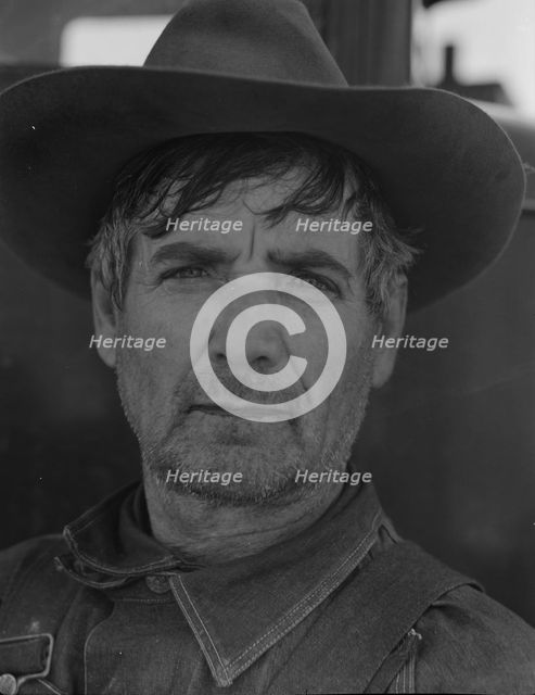 Former tenant farmer from Texas now working in California as a pea picker, Nipomo, California, 1937. Creator: Dorothea Lange.