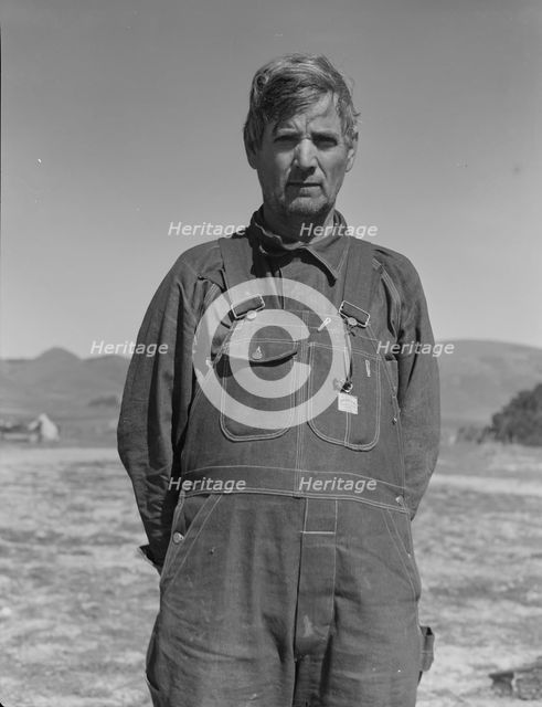 Former tenant farmer from Texas now working in California as a pea picker, Nipomo, California, 1937. Creator: Dorothea Lange.