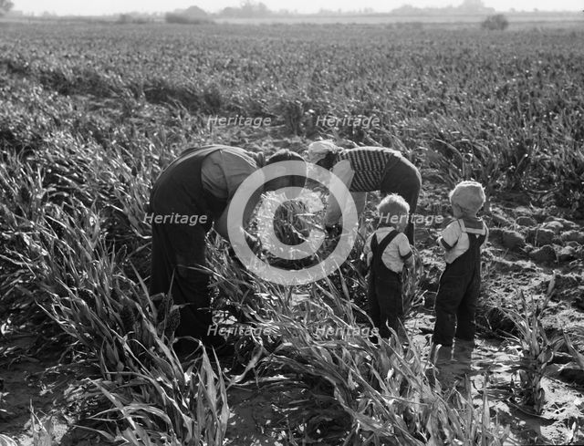 Formerly rehabilitation clients now operating own farm, near Manteca, California, 1938. Creator: Dorothea Lange.