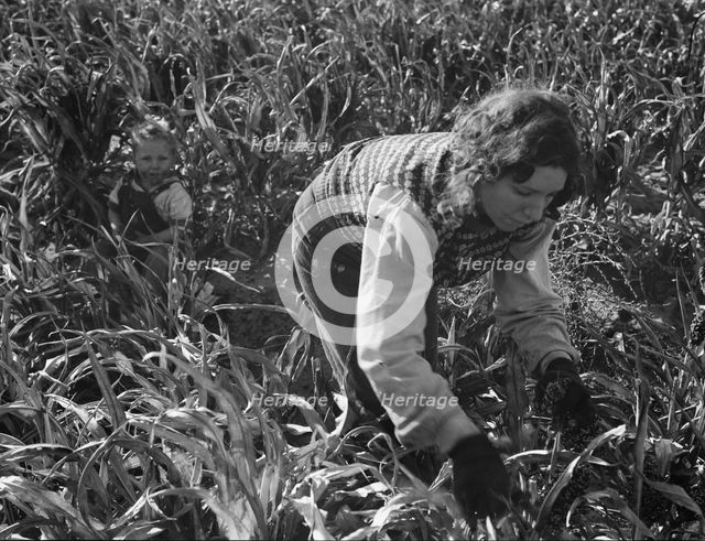 Formerly rehabilitation clients now operating own farm, near Manteca, California, 1938. Creator: Dorothea Lange.