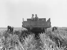 Formerly rehabilitation clients now operating own farm, near Manteca, California, 1938. Creator: Dorothea Lange