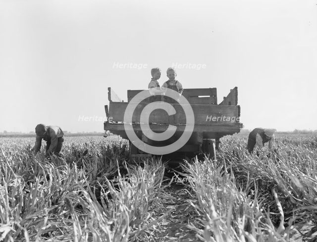 Formerly rehabilitation clients now operating own farm, near Manteca, California, 1938. Creator: Dorothea Lange.