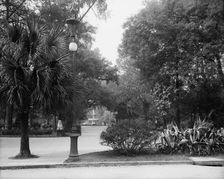 Forsyth Park, Savannah, Ga., between 1900 and 1910. Creator: Unknown