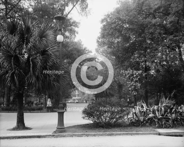 Forsyth Park, Savannah, Ga., between 1900 and 1910. Creator: Unknown.