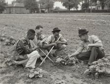 Fort Valley Normal and Industrial School, experimental garden, 1939 - 1943. Creator: Unknown
