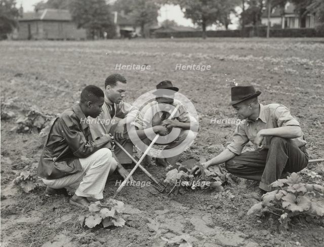 Fort Valley Normal and Industrial School, experimental garden, 1939 - 1943. Creator: Unknown.