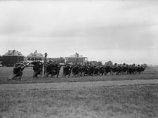 Fort Myer Officers Training Camp, 1917. Creator: Harris & Ewing