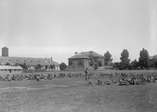 Fort Myer Officers Training Camp, 1917. Creator: Harris & Ewing
