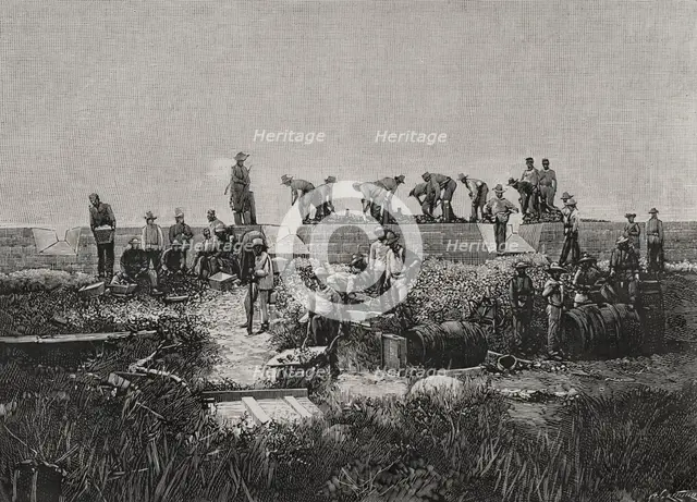 Fortification works on the coast of Santiago de Cuba, Cuban War of Independence (1895-1898), 1898. Creator: Arturo Carretero y Sánchez.