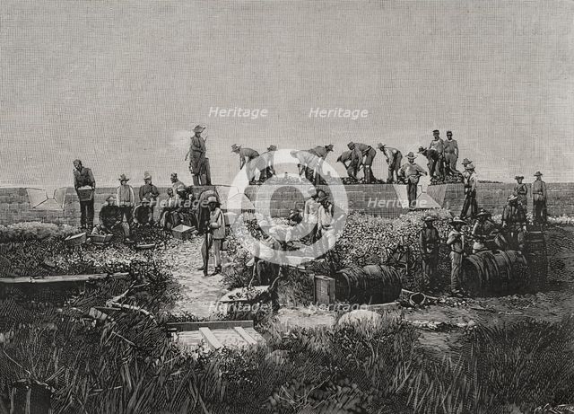 Fortification works on the coast of Santiago de Cuba, Cuban War of Independence (1895-1898), 1898. Creator: Arturo Carretero y Sánchez.