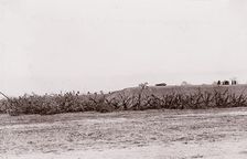 Fortifications at City Point, 1861-65. Creator: Unknown